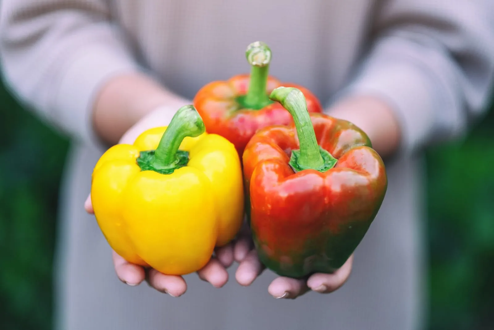 Bell peppers