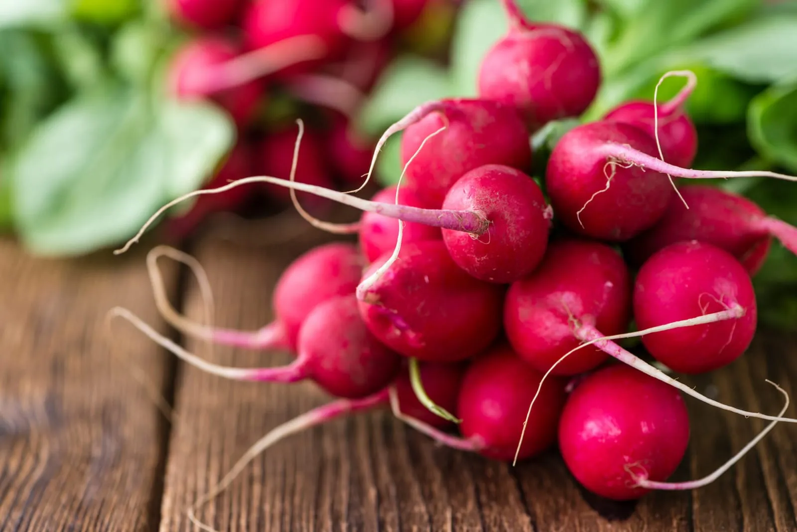 Portion of radishes