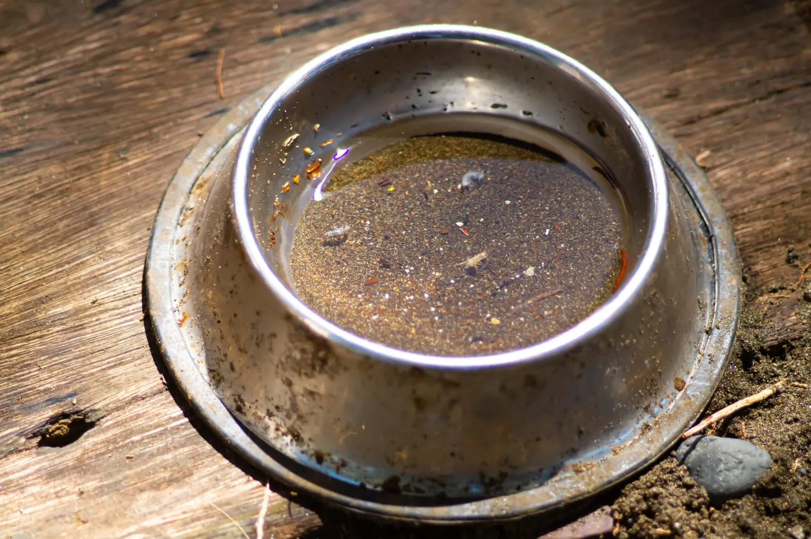 An old pet bowl
