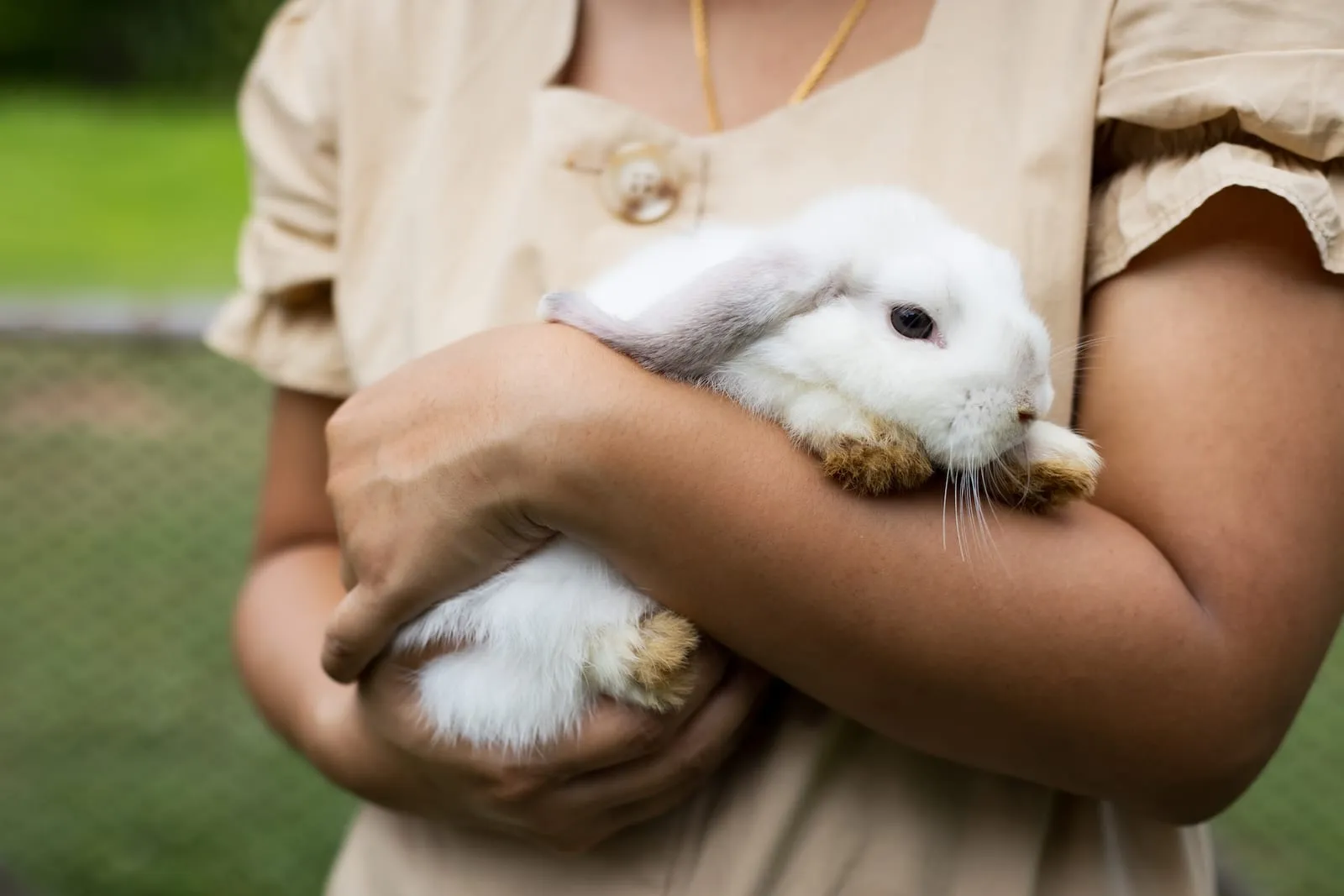 Woman holding a white rabbit in arms
