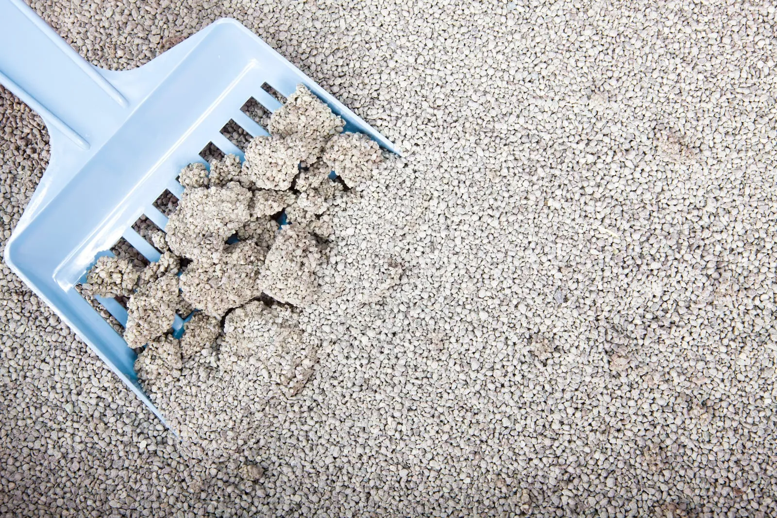 Clumping cat litter