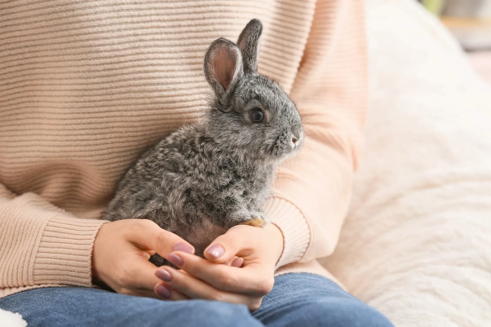 Woman holding a rabbit on her lap