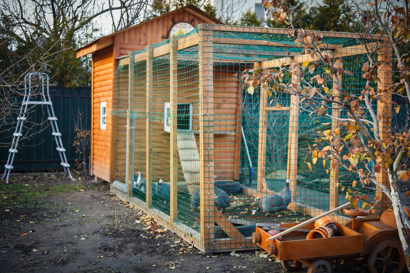 Chicken coop