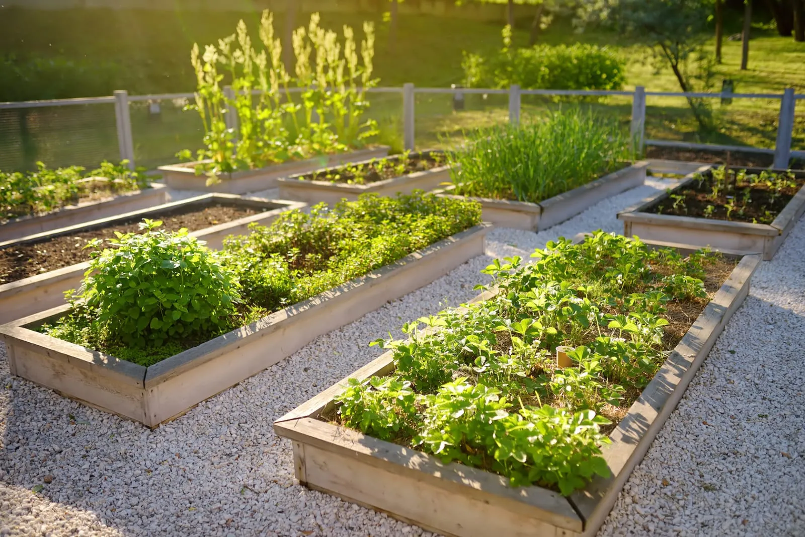 Community garden