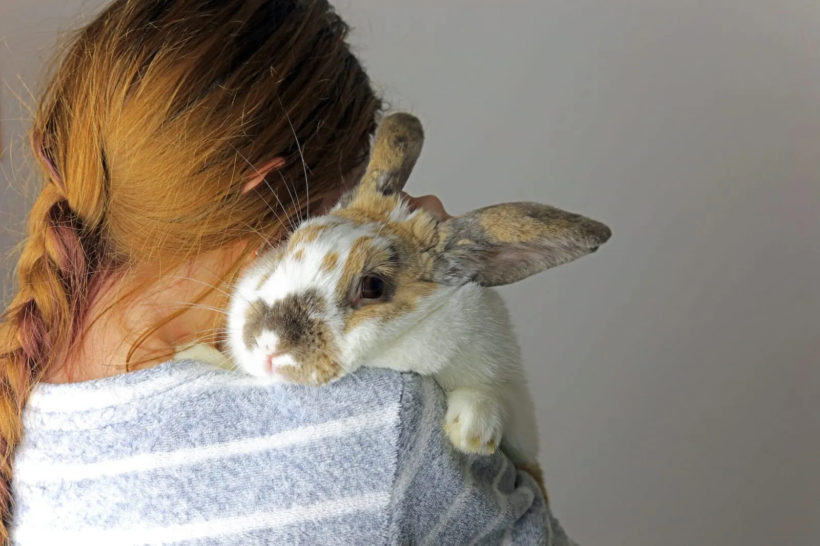 Girl holding a rabbit on shoulder