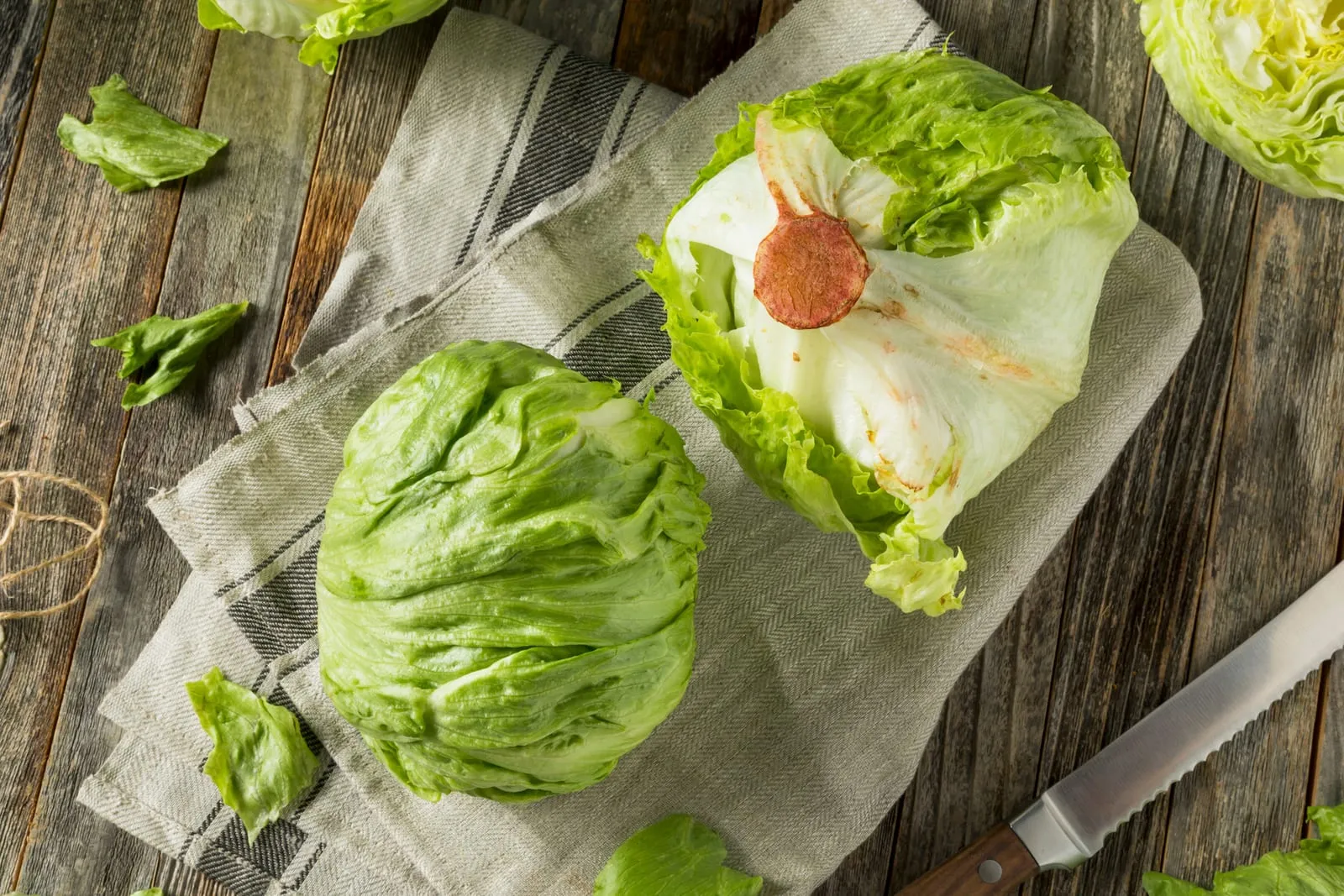Iceberg lettuce