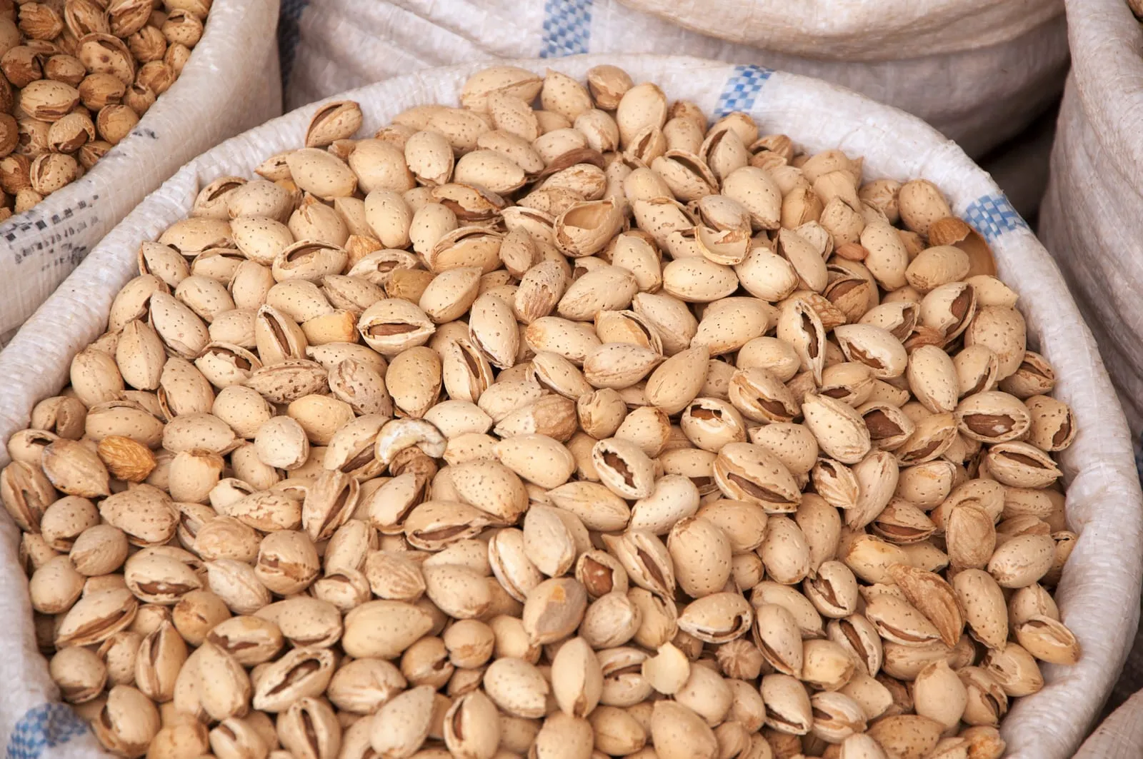 Raw almond nuts