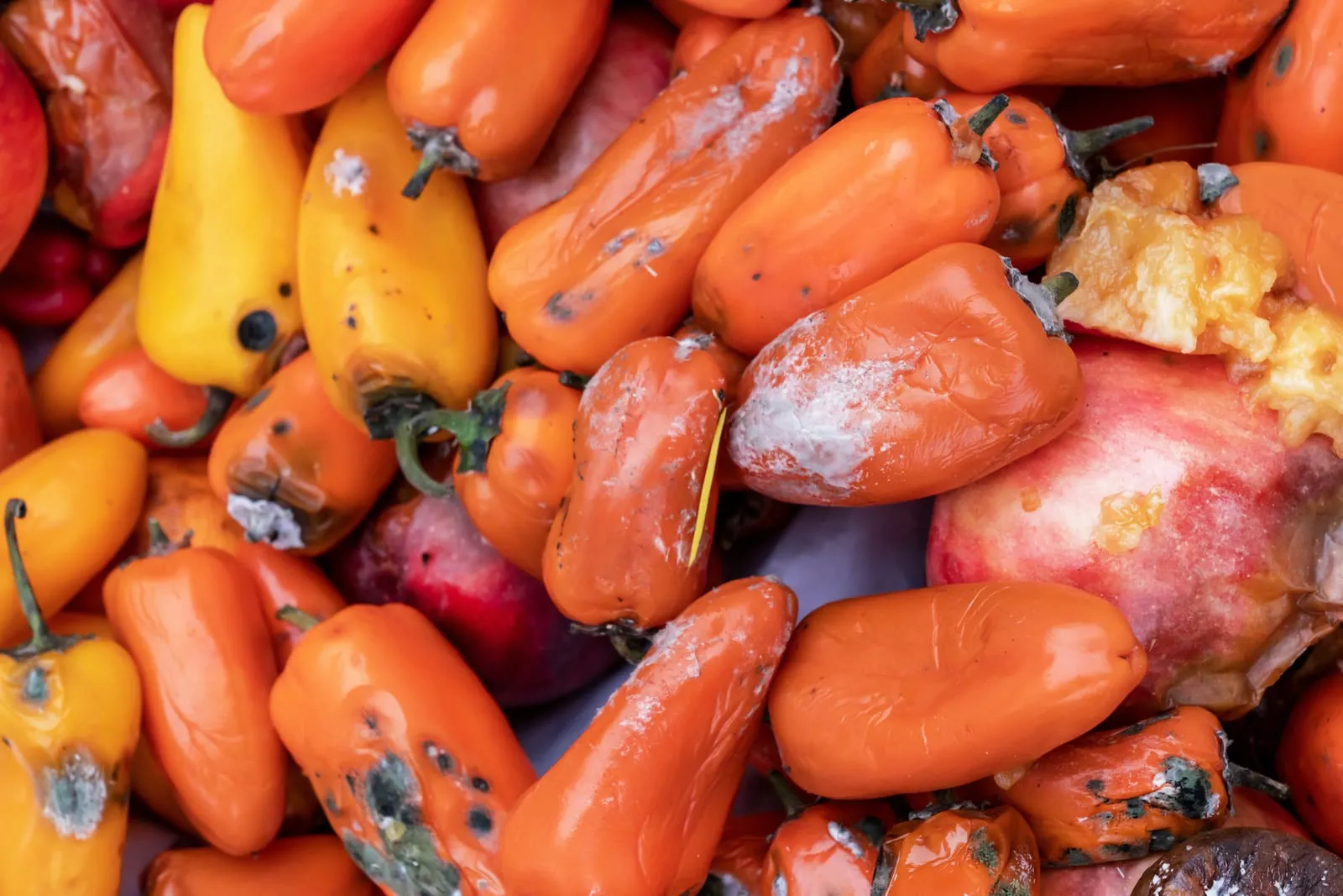 Rotten vegetables